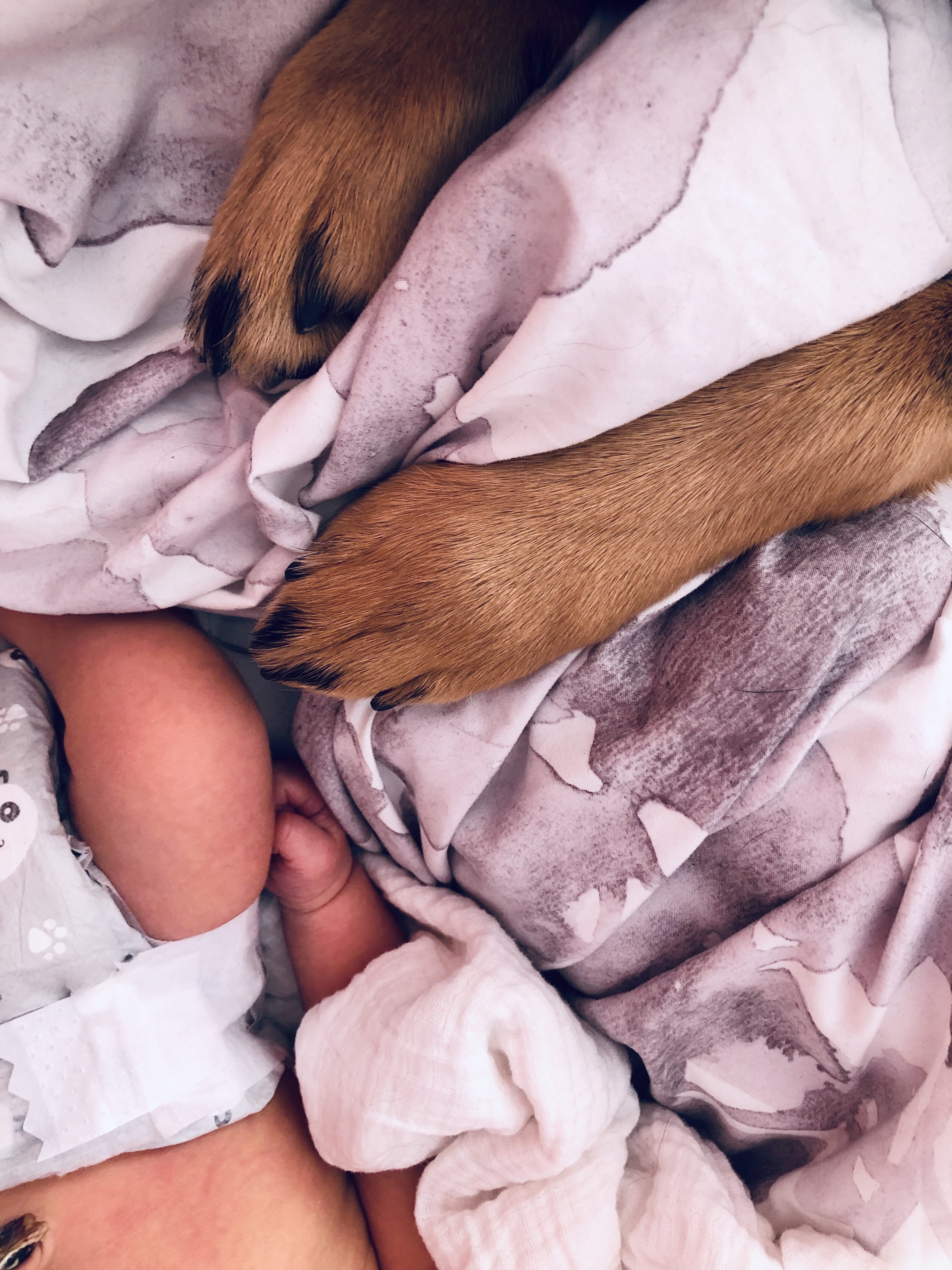 Build a postpartum sanctuary plan for when the baby is born, you have no idea what you’re doing and everyone wants to help, even the dog.